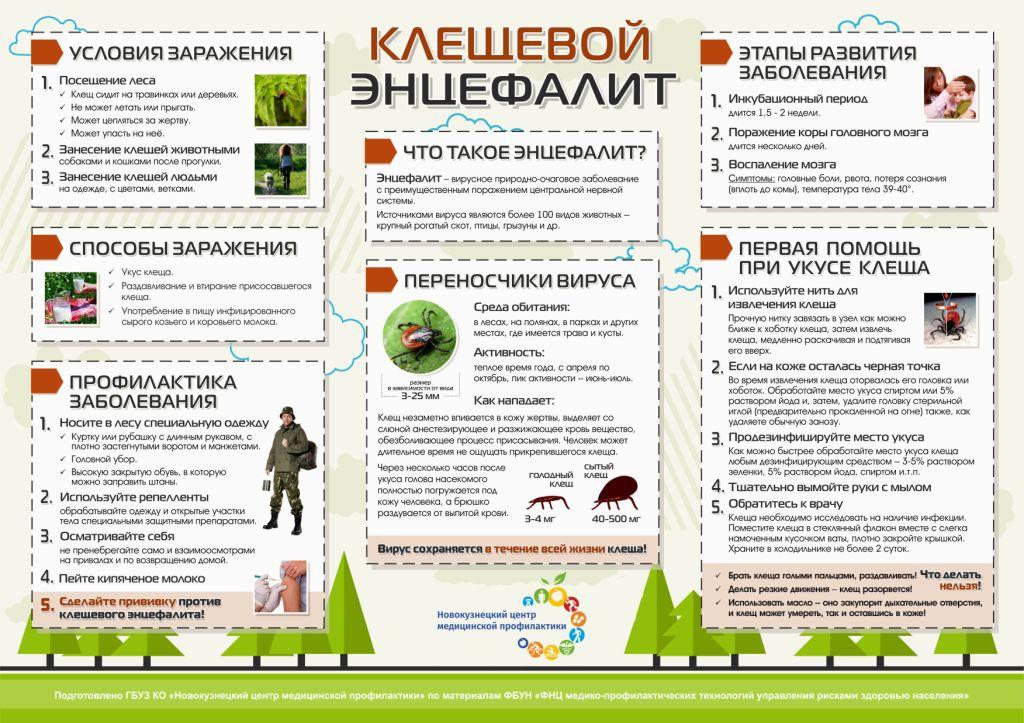 Клещи 2.jpg